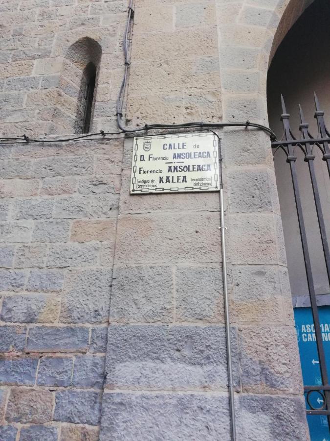 Calle Ansoleaga A 100 Mts Del Ayuntamiento Pamplona Eksteriør billede